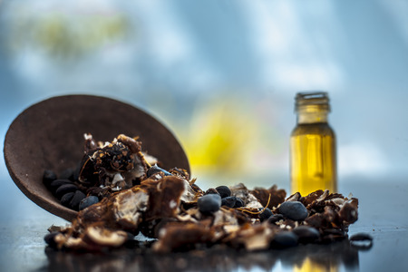 Tamarind or imli or amli in a clay bowl along with its roasted seeds and extract essential oil or concentration or essence in a glass bottle on black colored wooden surface.の写真素材