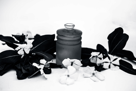 White colored flowers along with leaves and essential herbal detoxifying oil in a glass bottle isolated on white.の写真素材
