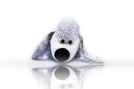 White colored cute stuffed toy dog isolated on white along with its refection.の写真素材