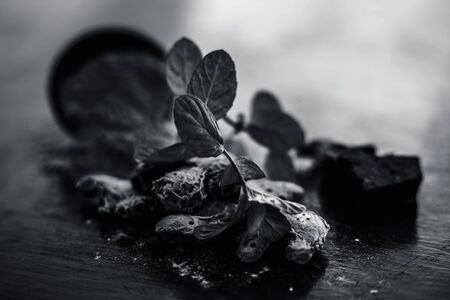 Raw organic hing or devil's dung along with some dried ginger on wooden surface and powder of giant fennel in a clay bowl  along with some mint leaves,Close up view or shot.の写真素材