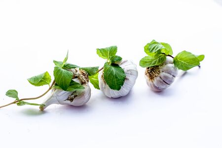 Raw garlic bulbs isolated on white along with some mint leaves.