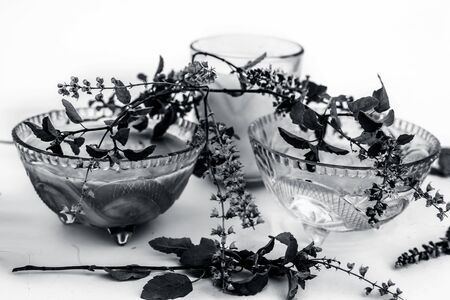 Tulsi face pack or face mask isolated on white i.e. Oatmeal well mixed with tulsi or holy basil with...