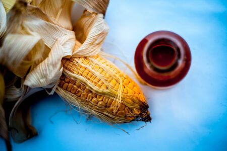 Raw organic corn cob or kernel isolated on white along with its beneficial essential cooking oil in a glass bottle.の写真素材