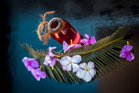 Rosemary concentration or essence in a glass bottle on wooden surface along with its flowers and some leaves.の写真素材
