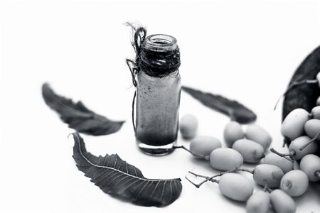 Fresh green neem fruit of Indian Lilac fruit in a clay bowl isolated on white along with its concentrated essential oil or essence in a transparent glass bottle. Horizontal shot.の写真素材