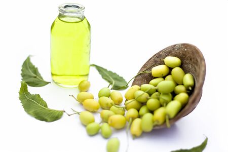 Fresh green neem fruit of Indian Lilac fruit in a clay bowl isolated on white along with its oil in a transparent glass bottle.Horizontal shot.の写真素材