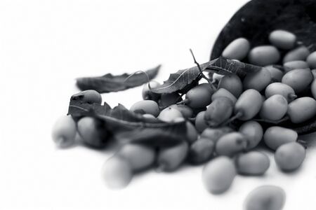 Neem fruit or nim fruit or Indian lilac fruit in a clay bowl isolated on white along with some fresh...