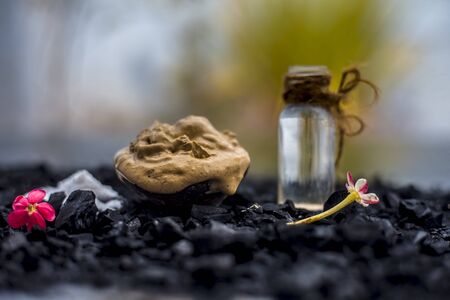 Activated charcoal face mask consisting of bentonite clay or fuller's earth or multani mitti or mulpani mitti well mixed with baking soda and coconut oil. On a wooden surface with entire constituents.の写真素材