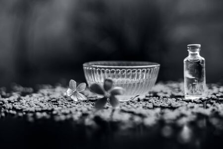 Raw fenugreek seeds on the wooden surface with some coconut oil and its paste in a glass bowl used as the remedy of dandruff.Famous natural method.の写真素材