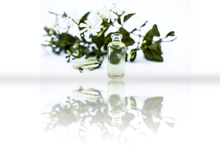 Juhi or Jasminum Auriculatum or Indian jasmine flowers isolated on white with its essential extracted concentration or oil in a small glass bottle with reflection also.の写真素材