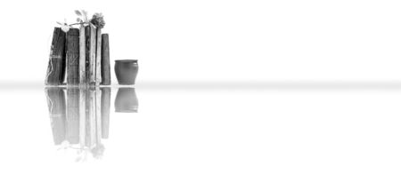 Old vintage torn tied books standing on white background with a pink rose over it and some coffee in a clay cup isolated along with its reflection.の写真素材