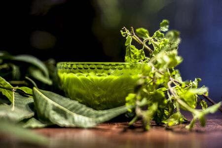 Hair remedy of all-purpose ayurvedic medicinal herb i.e. Neem or Nim or Indian lilac in a glass bowl along with neem leaves, freshwater & some tulsi or basil leaves making a remedy for dandruff.の写真素材