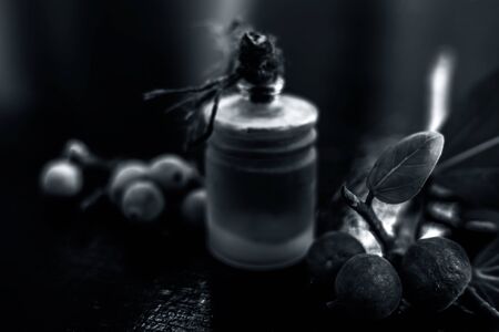 Close up shot of essential banyan tree oil in a transparent glass bottle along with some banyan fruit and its leaf on a black glossy wooden surface. Horizontal shot.の写真素材