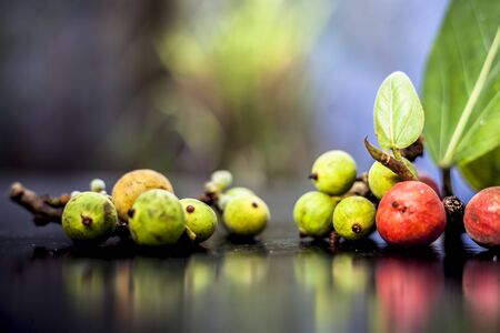 Close up shot of raw banyan tree fruit along with its leaves on a black wooden surface with...
