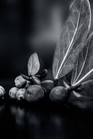 Close up shot of raw banyan tree fruit along with its leaves on a black wooden surface with...