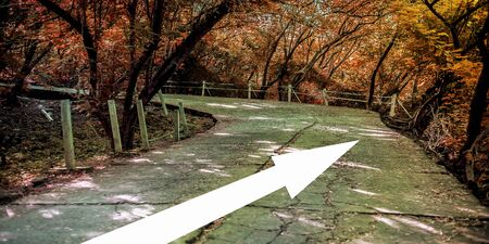 Autumnal forest. Landscape shot of road passing through the autumn forest with a white-colored arrow...