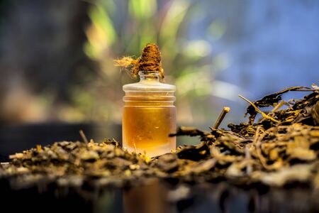 Close up of shankhpushpi roots on the wooden surface along with some of its powder and oil with it. Shot with blurred background. Horizontal shot.の写真素材