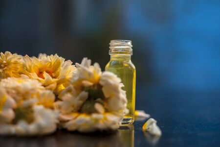 Close up shot of daisy essence or concentration in a small glass bottle along with some fresh daisy or English daisy flowers with it on blackboard with blurred background and rim light on the bottle.の写真素材