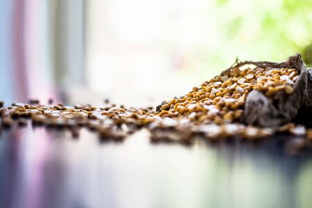 Close up shot of raw chickpea lentil/Yellow lentil in a gunny bag on a black shiny surfaceの写真素材