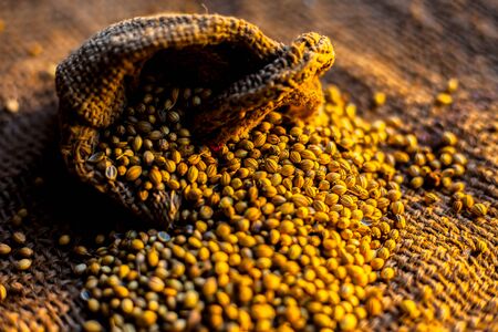 Creative angle shot of dried coriander seeds in a gunny bag and some spread on the same surface. Horizontal shot.の写真素材