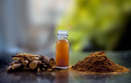 Shot of Rheum emodi or Revand Chini along with its extracted root essence and raw powder on a black glossy surface.の写真素材