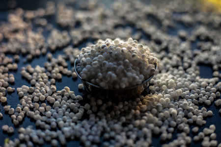 Close up shot of raw sago pearls or tapioca pearls in a glass plate on a black colored surface.の写真素材