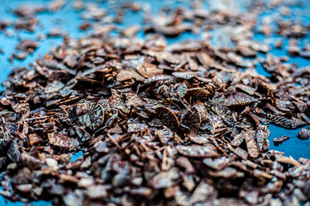 Close up shot of cut betel nut or areca nut on a black surface.の写真素材