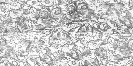 Texture, background, pattern, postcard, silk fabric of gray color with a monochrome pattern. Tileable image.の写真素材
