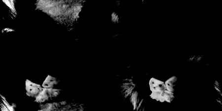 Abstract background. Monochrome texture. Image includes a effect the black and white tones. Tileable image.の写真素材