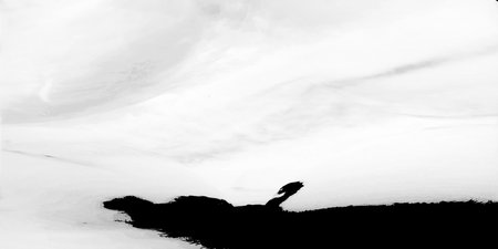 abstract black and white background texture with grunge brush strokes and paint stains. Tileable image.の写真素材