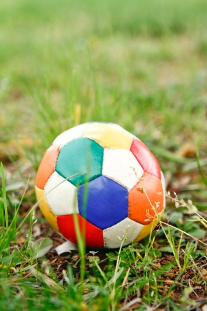 ball the green grassの写真素材