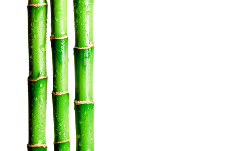 Three bamboo sticks isolated on white backgroundの写真素材