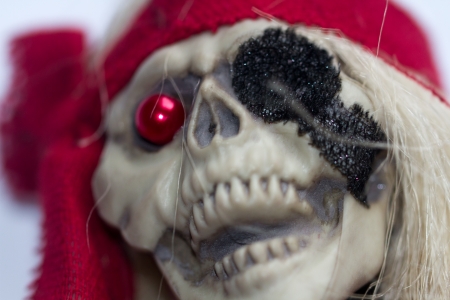 skeletonの写真素材