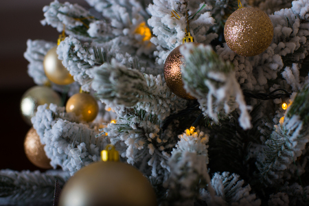 Christmas composition. fir-tree branches, pine cones and blue ballsの写真素材