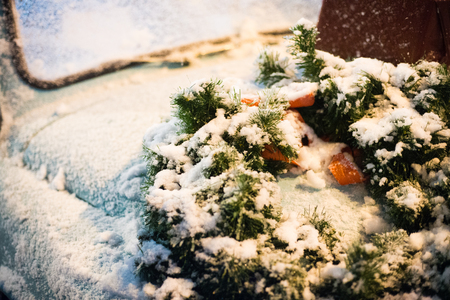 Snow on Christmas decorationsの写真素材