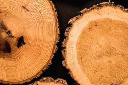 An aged cracked wooden tree section with rings and textures. Round background with organic feel.の写真素材