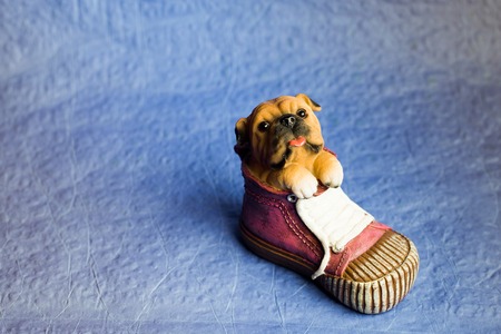 statuette of a dog in a sneaker on a blue backgroundの写真素材