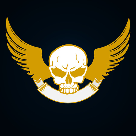 Illustration of a skull with emblem and wings - decorative elementのイラスト素材