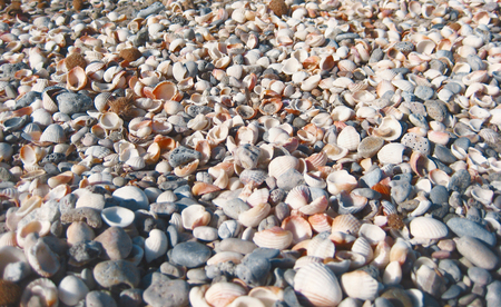 Close up colorful seashell, pebbles and sand on the beach by the sea. Detail top view, shallow dept of focusの写真素材