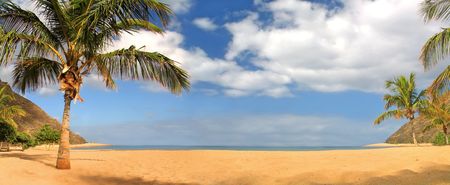 Tropical beachの写真素材