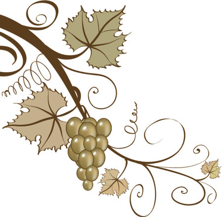 Grapesのイラスト素材