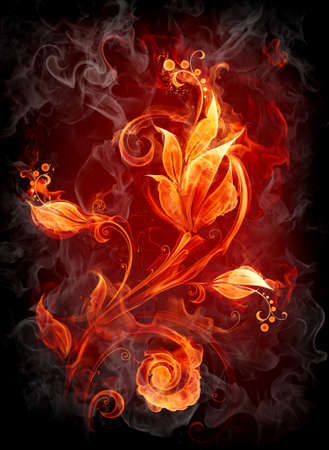 Fire flowerの写真素材