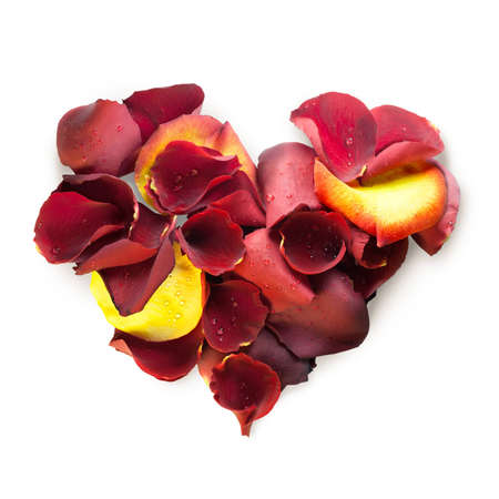 Rose petal heartの写真素材