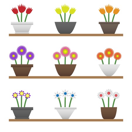 Colorful flowers in pots. Spring and summer flowers. Eco and Bio conceptのイラスト素材