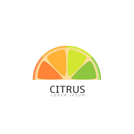 Pieces of citrus fruitsのイラスト素材
