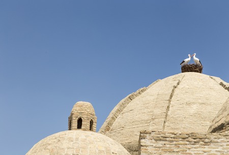 Toki Zargaron, ancient trading domes in Bukhara - Uzbekistan. Central Asia.の写真素材