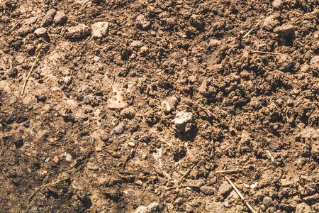 Background. Earth, sand, clay, stones.の写真素材