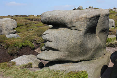 Stone Face