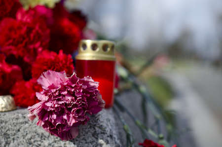 red flowers and candleの写真素材