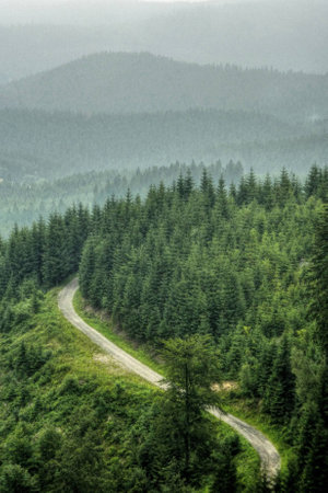 Landscape